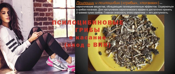 соль ск Зеленокумск
